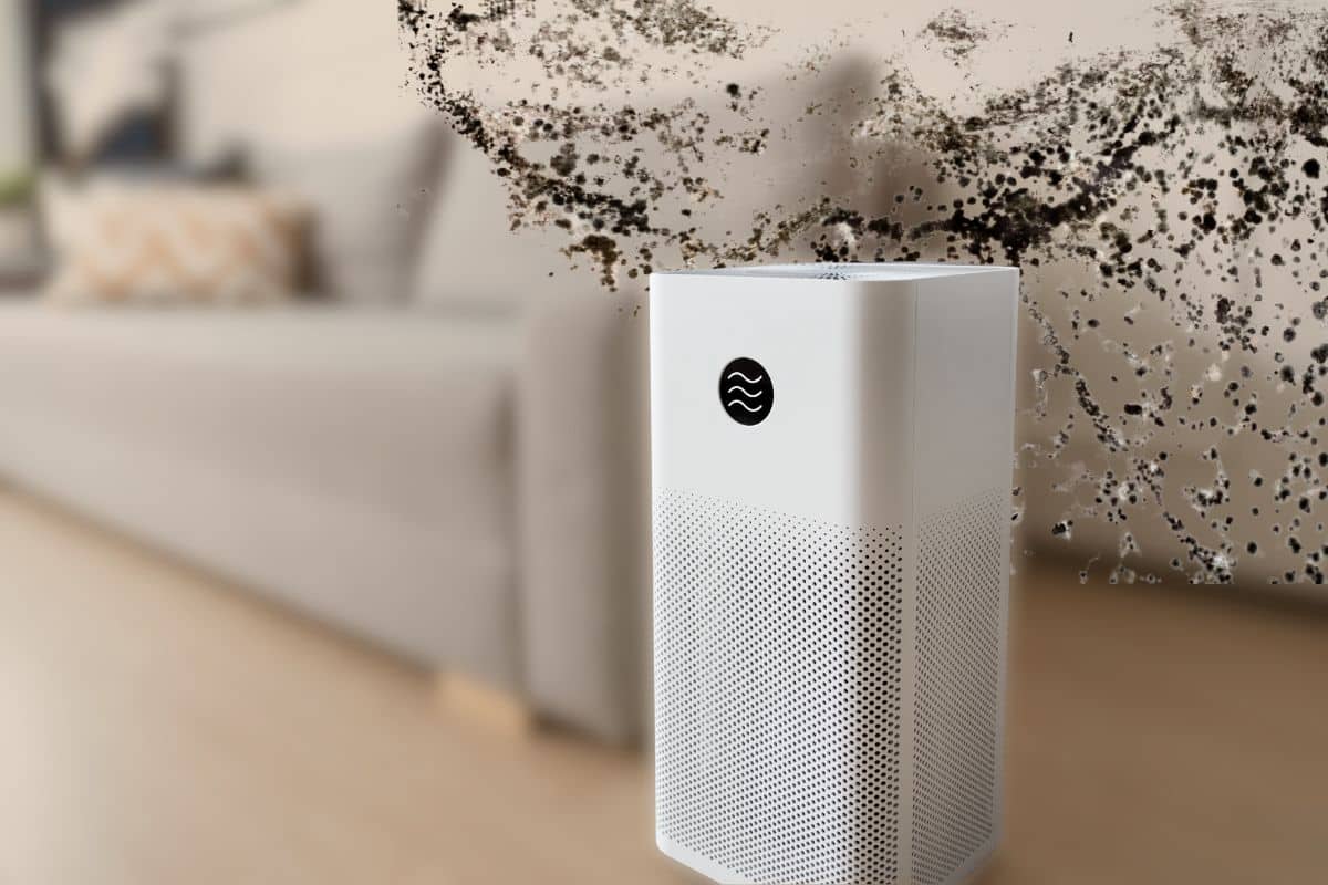 Can an Air Purifier Help With Existing Mold in a Home?
