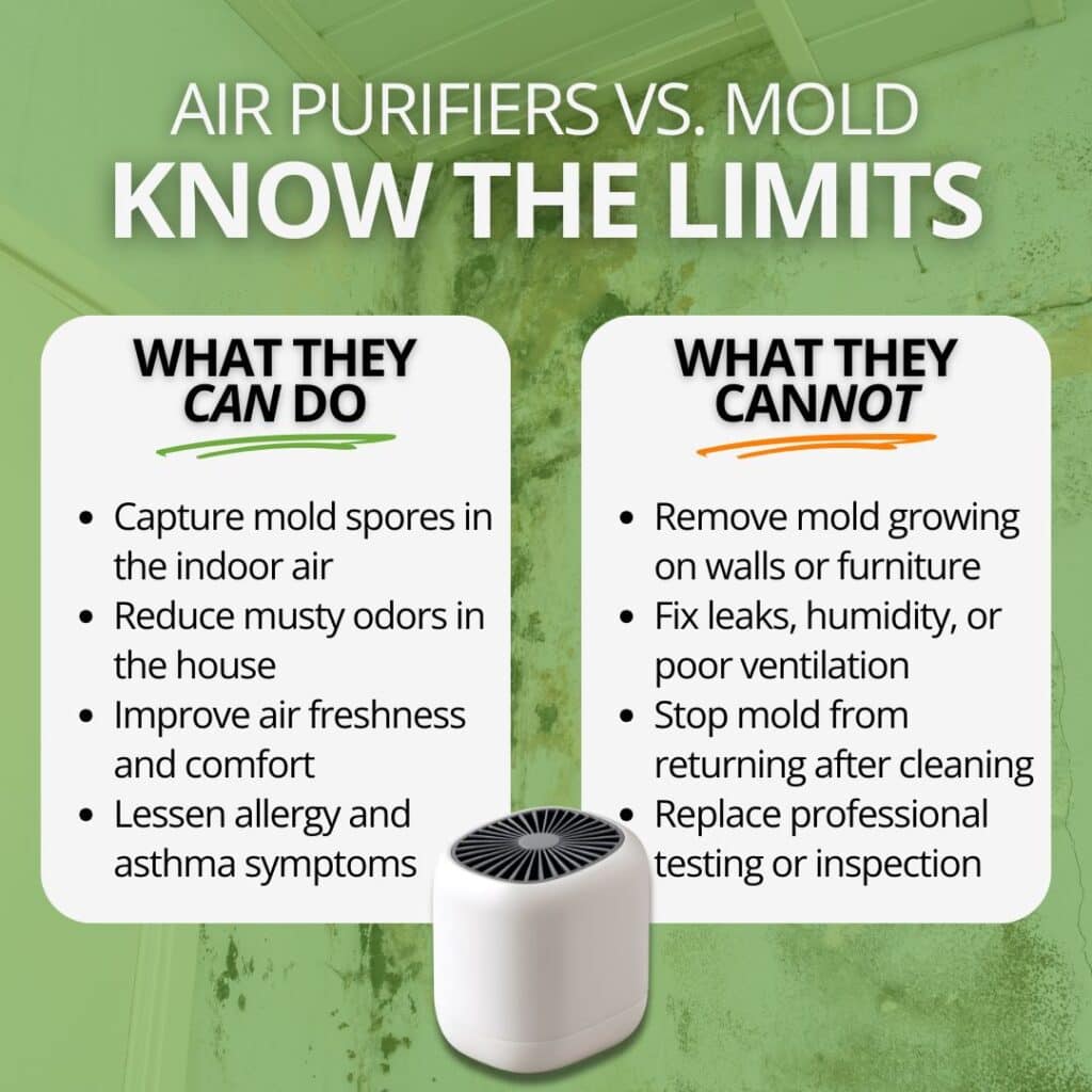 air purifier and existing mold in home