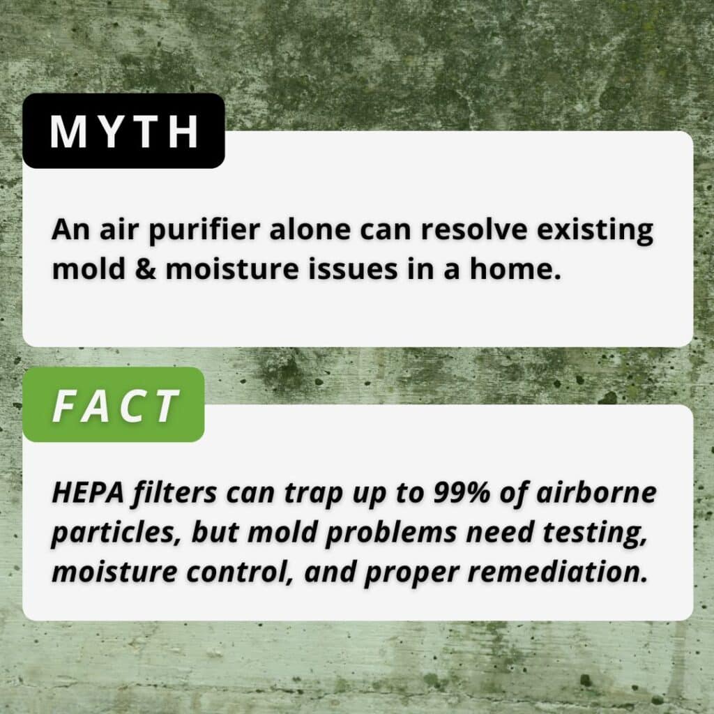 mold in home vs air purifier myth