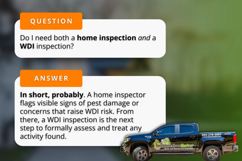 value of a home inspection for addressing wood eating insects