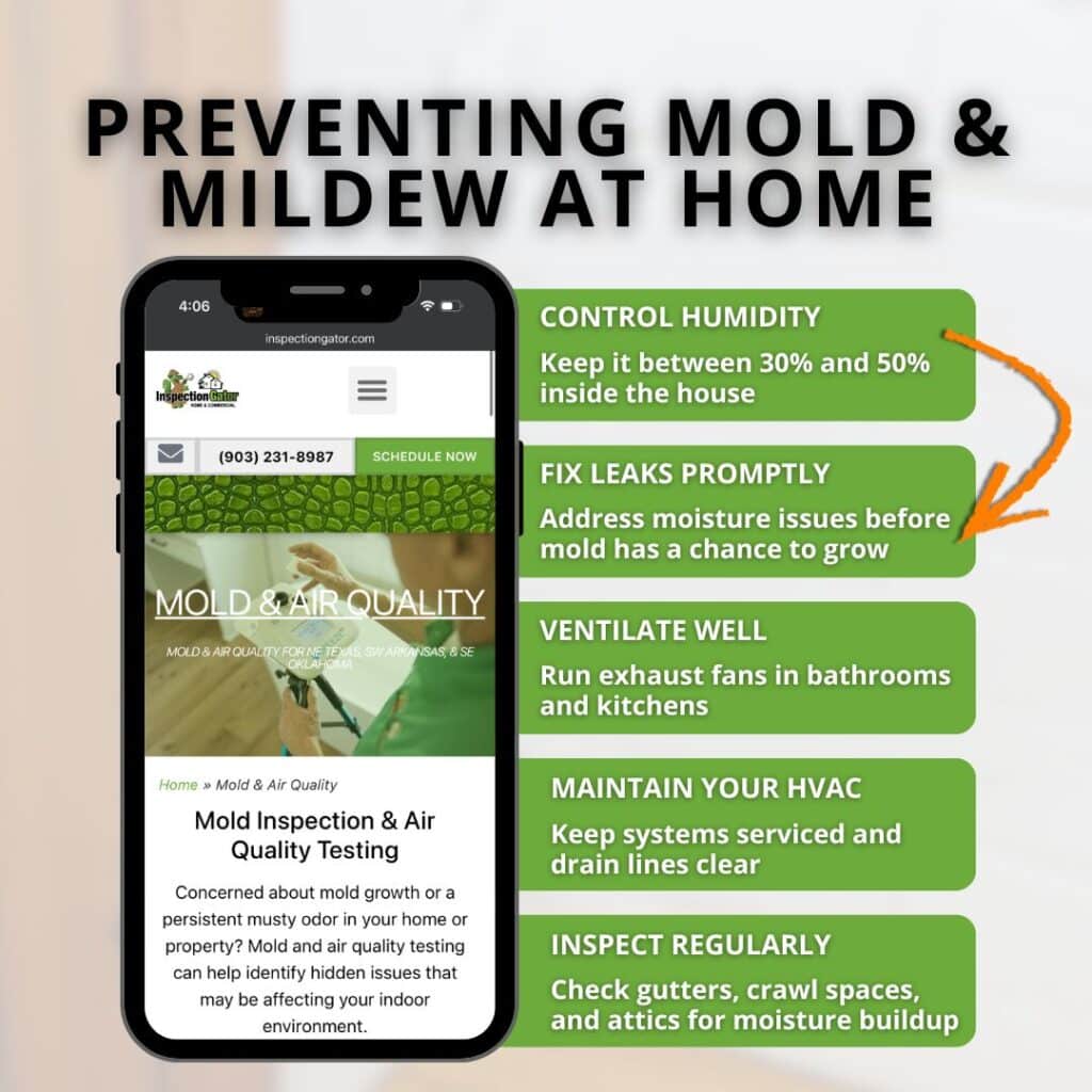 preventing mold and mildew in the home