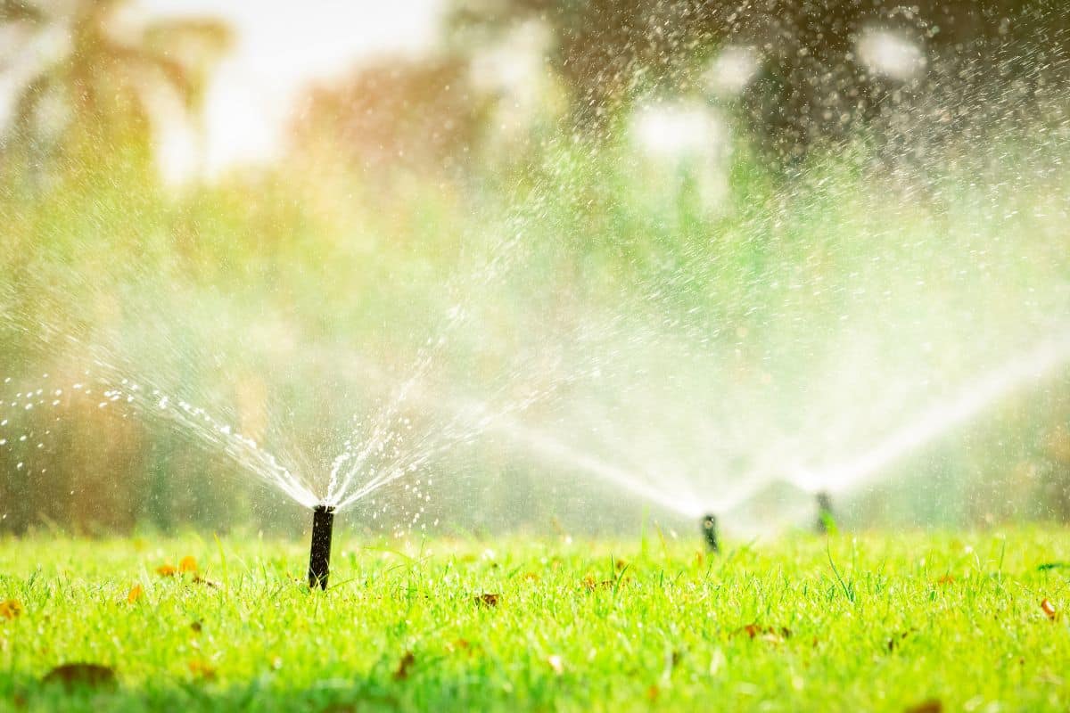 Lawn sprinkler heads watering a green lawn in early morning sunlight