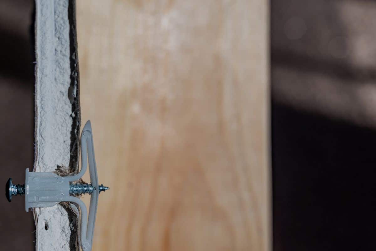 A gray plastic self-drilling wall anchor with screw installed through a cut section of drywall, wood framing behind