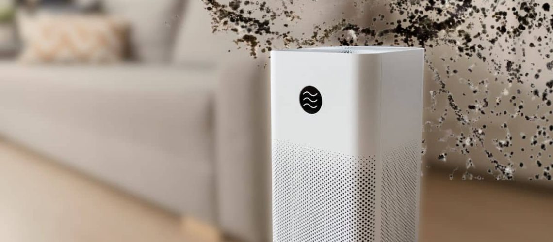Can an Air Purifier Help With Existing Mold in a Home?