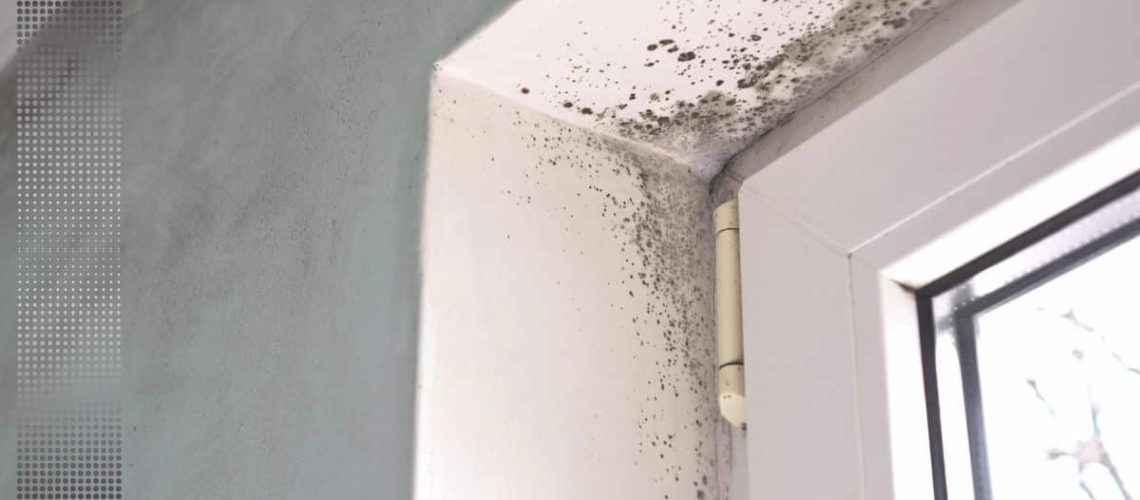 bathroom ceiling mold